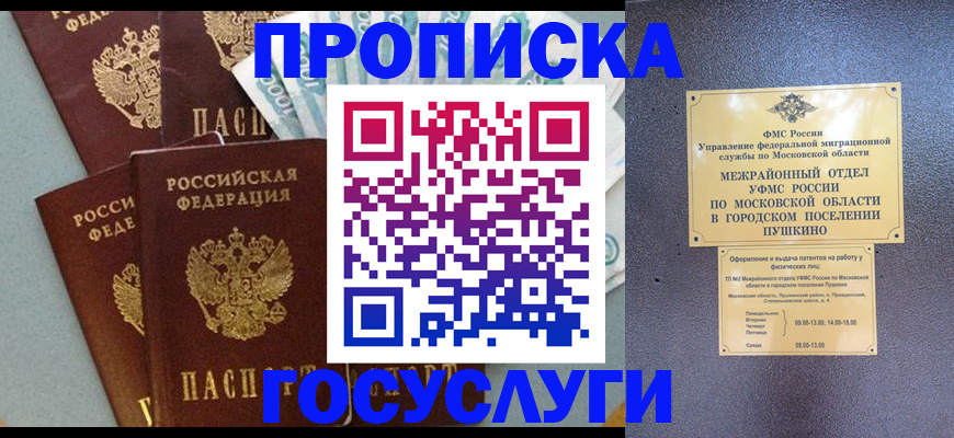 прописка гарантия в Колпашево
